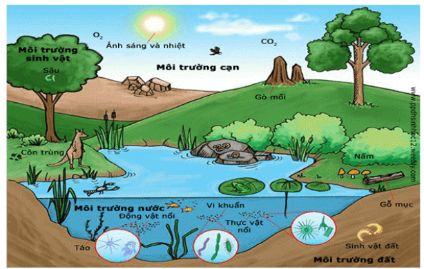 Hình minh họa (Nguồn từ internet) - ảnh 1