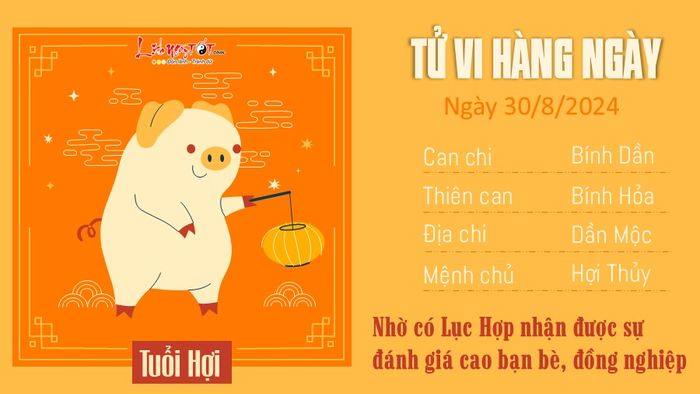 Dự đoán tử vi ngày 30/8/2024 cho 12 con giáp - tuổi Hợi