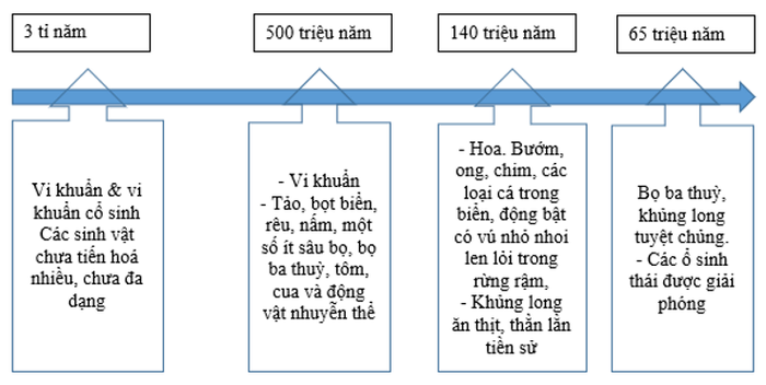 Hình ảnh minh họa (Nguồn từ internet) - ảnh 1