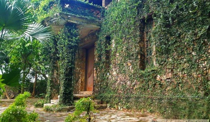 jungle_house_bac_ninh