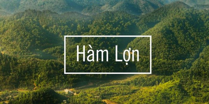 ham-lon