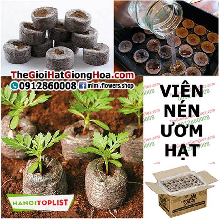 cua-hang-vat-tu-nong-nghiep-tai-ha-noi-the-gioi-hat-giong-hoa