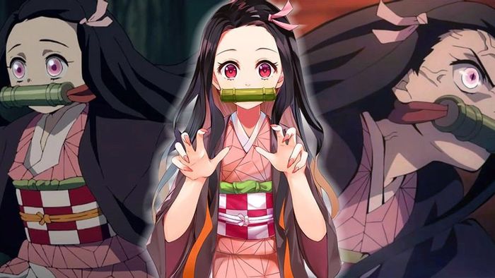 Kamado Nezuko trong thế giới Kimetsu No Yaiba