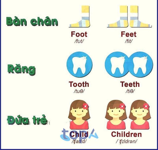 Anh ngữ Ba Vì tại huyện Ba Vì