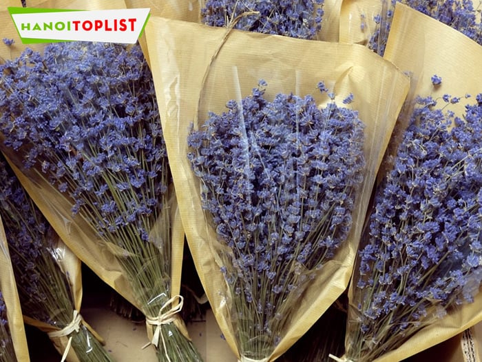 cua-hang-lavender-ha-noi-shop-ban-hoa-oai-huong-kho-ha-noi-gia-re-Mytour