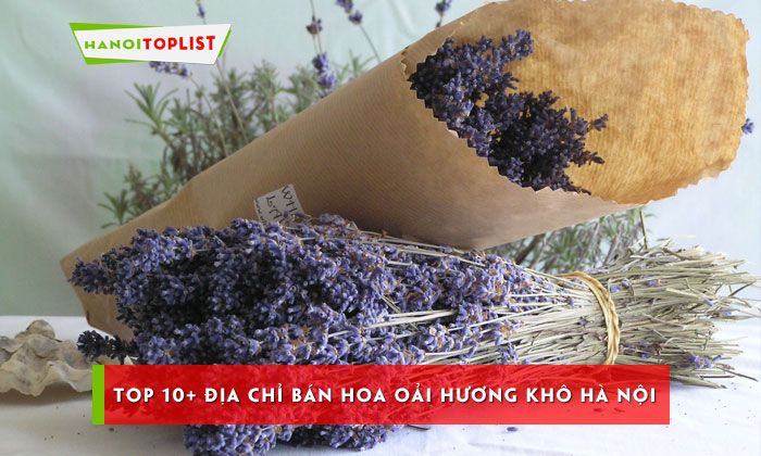 Trung tâm Âm nhạc và Nghệ thuật ChaChaCha tại quận Gò Vấp