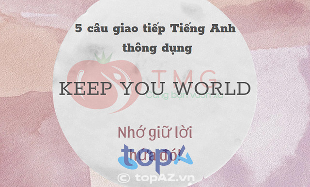 Trung Tâm Ngôn Ngữ Hải Phòng Tomato