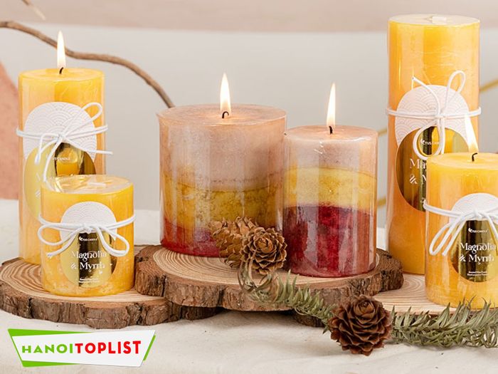 cua-hang-nen-thom-ctus-candle-Mytour