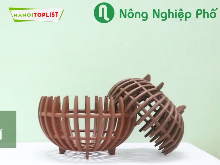 nong-nghiep-pho-Mytour