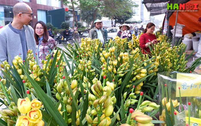 cho-hoa-cay-canh-van-phuc-Mytour