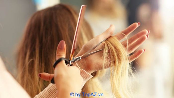 Đào tạo nghề cắt tóc tại Hà Nội