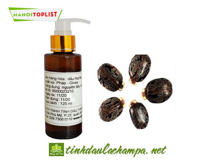 huong-sac-viet-dia-chi-mua-castor-oil-o-ha-noi-chat-luong-Mytour