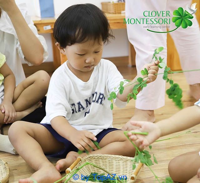 Trường mầm non Montessori tại TPHCM uy tín