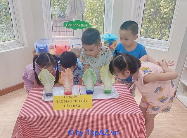 trường mầm non montessori ở hà nội