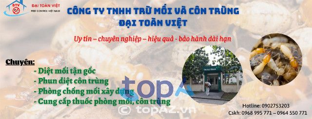 Công ty Đại Toàn Việt