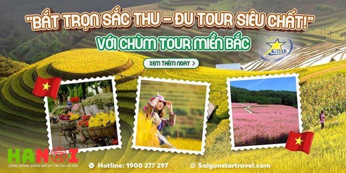 saigon-star-travel-don-vi-lu-hanh-hang-dau-tai-tphcm-Mytour