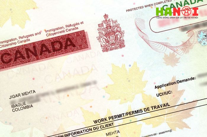 work-permit-canada-la-gi-Mytour