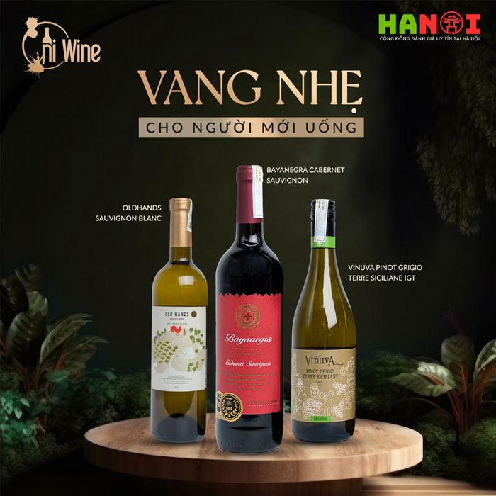 cac-loai-ruou-vang-cao-cap-tai-hiwine-vn-Mytour