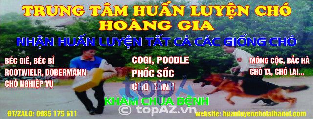 Trung tâm đào tạo chó Hoàng Gia tại Hà Nội