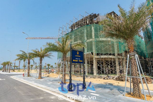 Công ty cây xanh uy tín tại Hà Nội