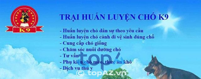 Trại huấn luyện chó nghiệp vụ K9 Hà Nội