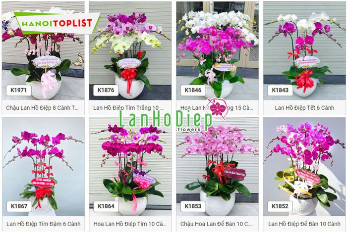 lanhodiep-flowers-khang-dinh-thuong-hieu-tren-thi-truong-Mytour