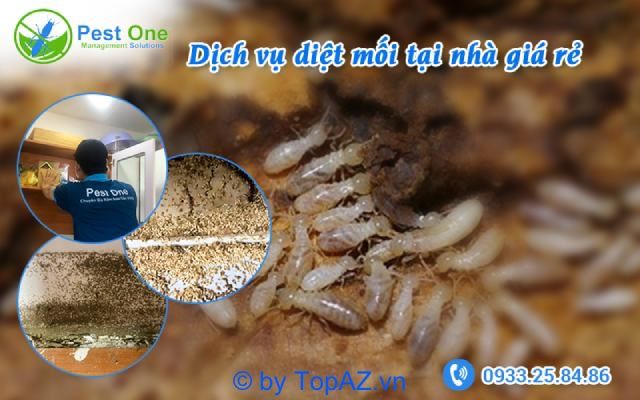 Công ty Cổ phần Thương mại Dịch vụ Pest One áp dụng chính sách bảo hành dịch vụ lâu dài từ 1 đến 5 năm.