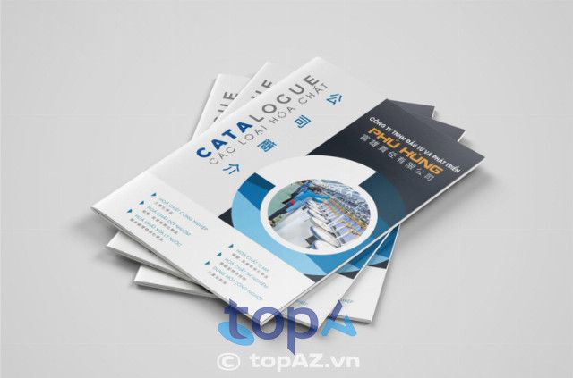 Công ty thiết kế và in catalogue tại TPHCM