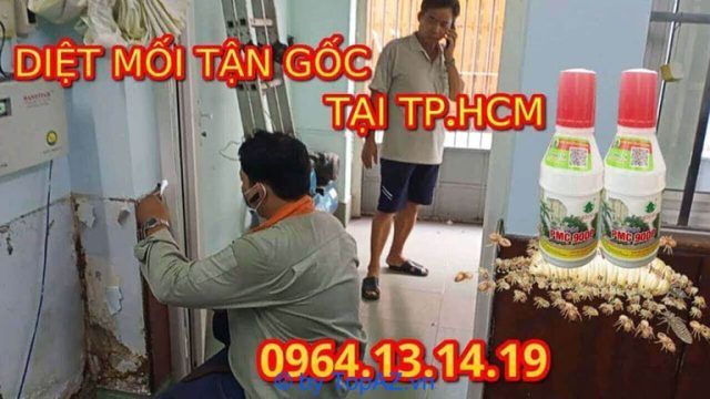 Công ty diệt côn trùng số 1