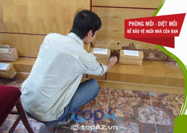 Dịch vụ diệt mối tận nhà uy tín tại TPHCM