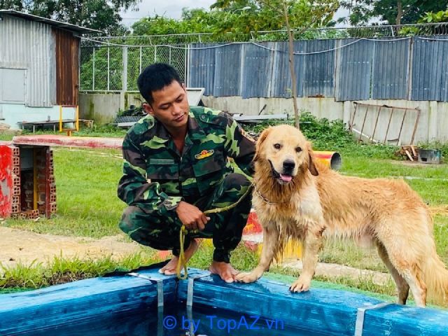 Thiên Khuyển là trung tâm đầu tiên cung cấp hồ bơi để thú cưng thư giãn.