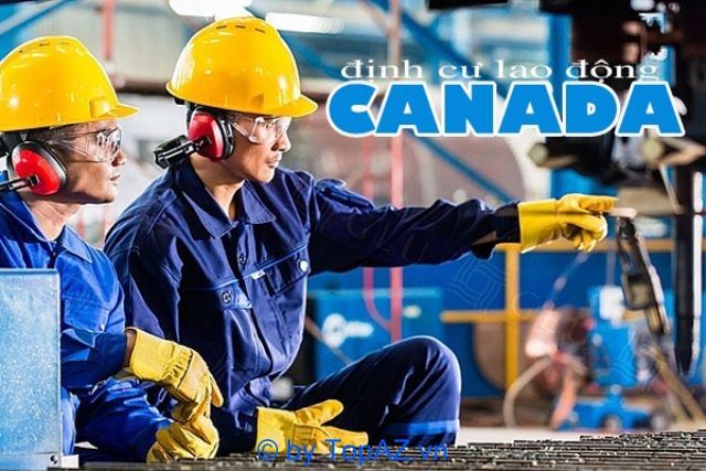 Villaland là một tên tuổi mới trên thị trường tư vấn định cư Canada