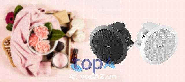 Công ty cung cấp dịch vụ tư vấn và lắp đặt loa cho spa uy tín hàng đầu tại TPHCM