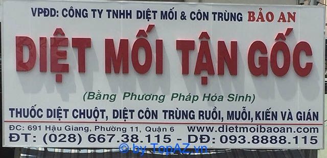 Dịch vụ diệt mối uy tín tại Quận 6