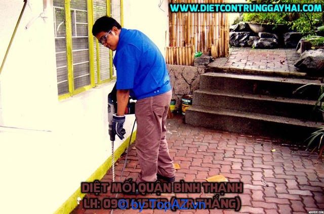 Công ty diệt mối tại quận Bình Thạnh, TP. Hồ Chí Minh