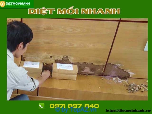 dịch vụ diệt mối tại Gò Vấp