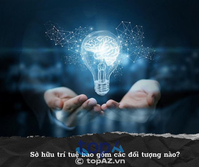 văn phòng luật tại Hà Nội