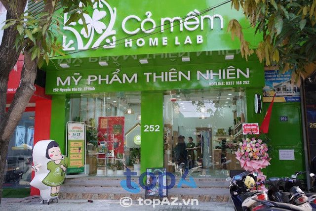 Cỏ Mềm Vinh