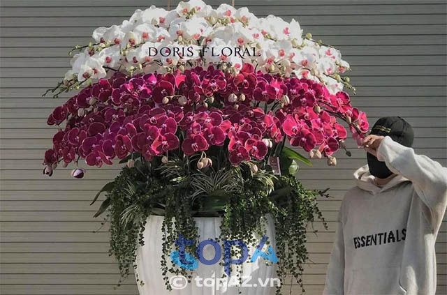 Doris Floral là cửa hàng cung cấp hoa lan hồ điệp tại quận 5