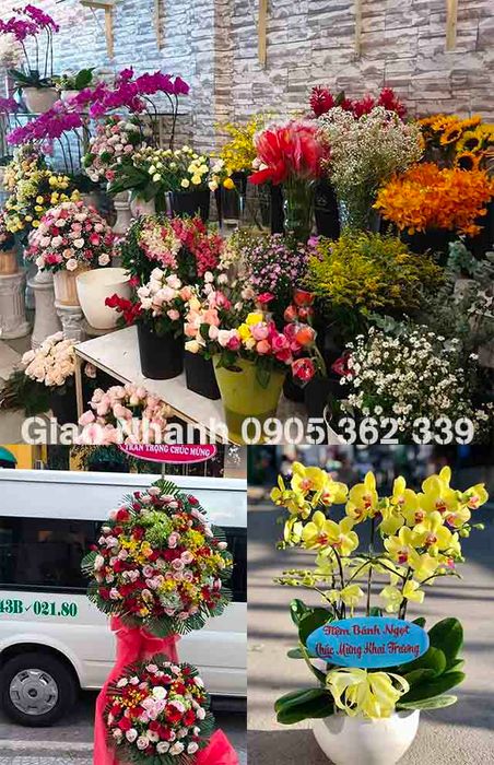 FLoLi cung cấp dịch vụ giao hoa khai trương nhanh chóng với giá cả hợp lý tại Đà Nẵng.