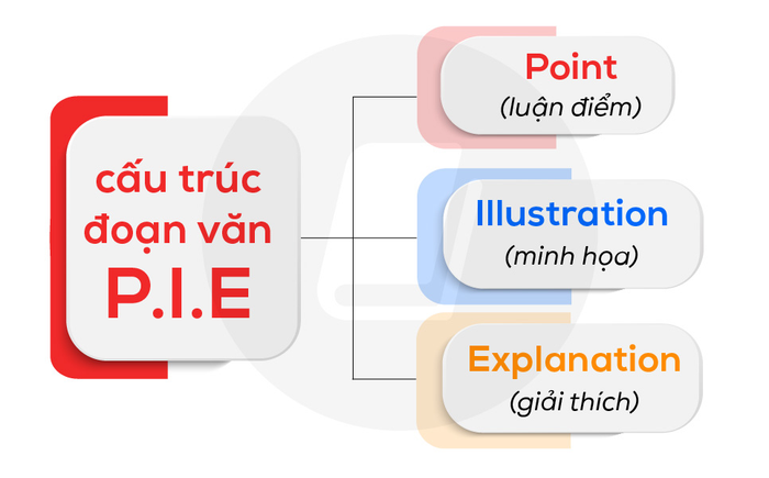 Giải thích quan điểm của bạn theo mô hình P.I.E