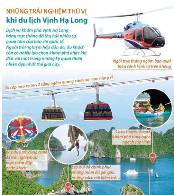 Ảnh minh họa (Nguồn internet) ảnh 1