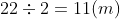 22 \div 2 = 11 (m)
