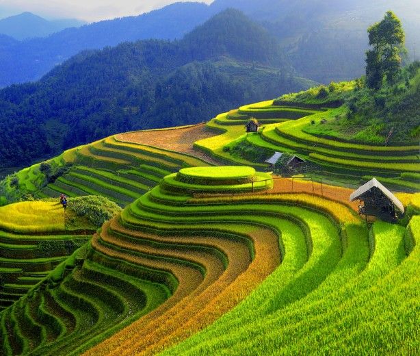Tháng 10 nên chọn điểm du lịch nào? Khám phá 10 địa điểm lý tưởng cho mùa thu năm nay