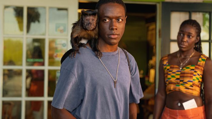 Aba Arthur, Crystal the Monkey và Ronald Peet trong Bad Monkey (2024)