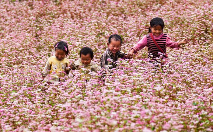 Tháng 10 nên du lịch ở đâu? Khám phá 10 điểm đến tuyệt vời cho mùa thu năm nay