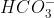 HCO_{3}^{-}