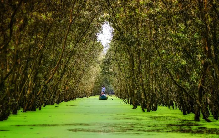 Tháng 10 nên du lịch ở đâu? Khám phá 10 điểm đến lý tưởng cho mùa thu này