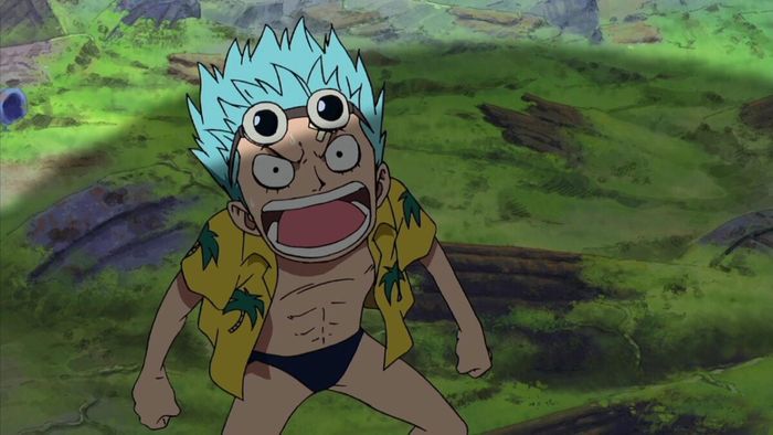 Cha của Franky là ai? Thẻ Vivre One Piece Tiết Lộ Thông Tin Gây Chấn Động - Bìa