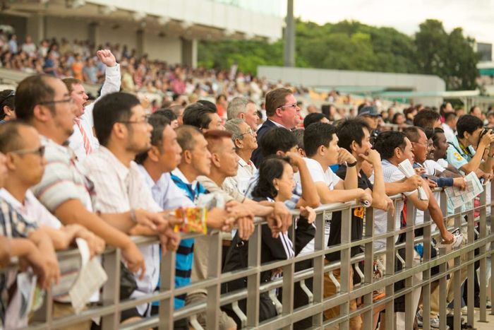 Câu Lạc Bộ Turf Singapore, Kranji, Khán Giả Xem Đua Ngựa